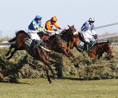 Auroras Encore, Oscar Time and Teaforthree in the 2013 Grand National
