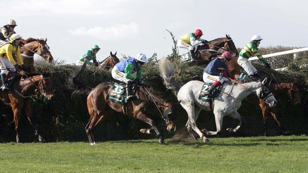 OLBG - How To Pick Your Horse For The Grand National