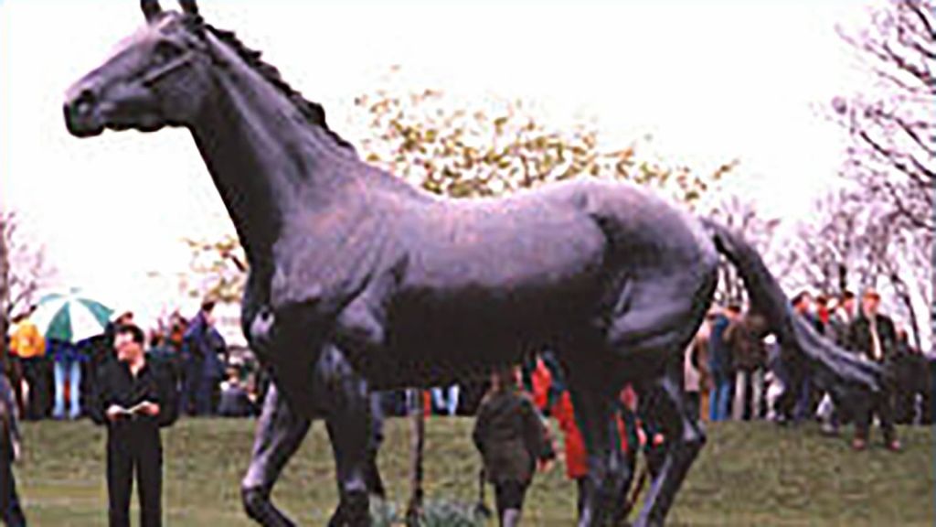 Red | Grand National Winner