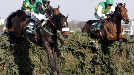 Grand national betting directory assistance cash flow statement operating investing financing activities in cash