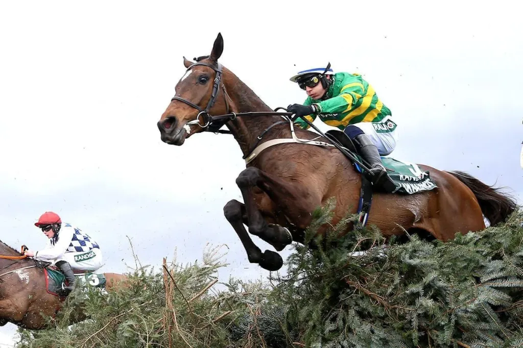OLBG - 2024 Grand National review