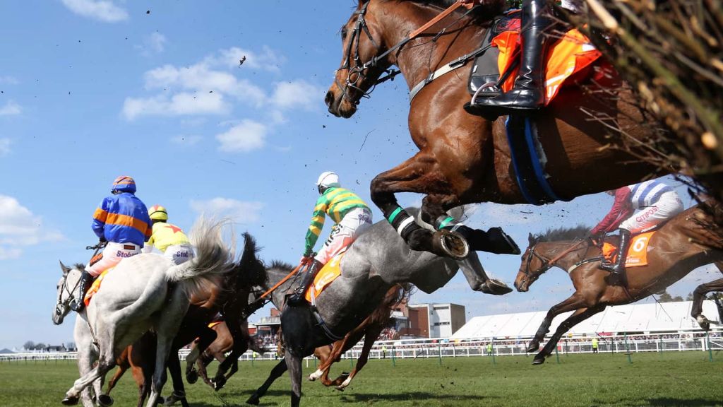 OLBG - Grand National 2010