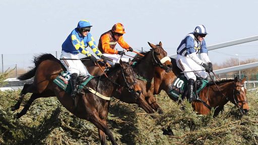 2013 Grand National
