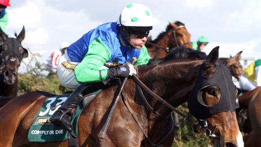 Grand National 2008